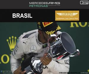 пазл Льюис Хэмилтон, Гран-при Бразилии 2016